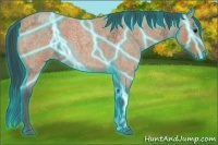 Horse Color:Thunderstruck Bay Ice Roan 
