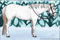 Horse Color:Grullo Splash Tobiano Frame Appaloosa Rabicano