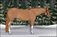 Horse Color:Chestnut Tobiano