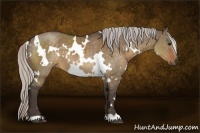 Horse Color:White Spotted Silver Brown Dun 