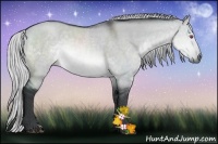 Horse Color:Silver Brown Chinchilla Dun Rabicano