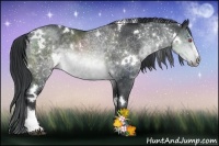 Horse Color:White Spotted Brown Chinchilla Sabino