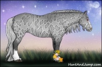 Horse Color:Silver Brown Chinchilla Ice Sabino Rabicano