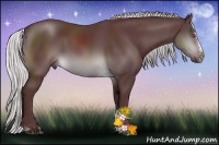 Horse Color:Chocolate Silver Brown Chinchilla Sabino 