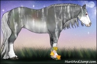 Horse Color:Silver Brown Chinchilla Ice Sabino