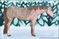 Horse Color:Liver Chestnut Ice 