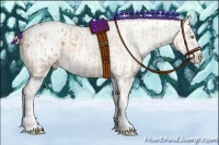 Horse Color:Gold Champagne Splash Appaloosa  and Amber Cream Champagne Dun Splash Appaloosa 