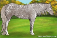 Horse Color:Silver Black Ice