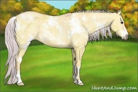 Horse Color:Watercolor White Spotted Silver Smoky Grullo Ice
