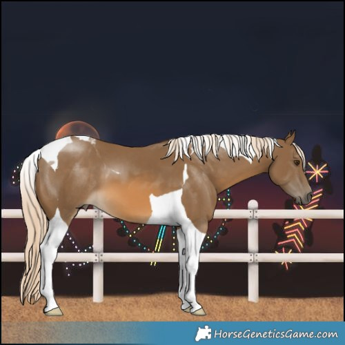 Horse Color:Chocolate Palomino Tobiano 
