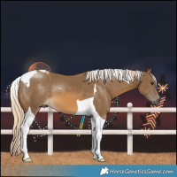 Horse Color:Chocolate Palomino Tobiano 