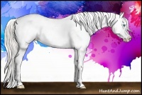 Horse Color:Cremello Onyx Near Leopard  and Palomino Onyx Near Leopard 
