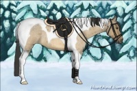 Horse Color:Buckskin Roan Dun Tobiano
