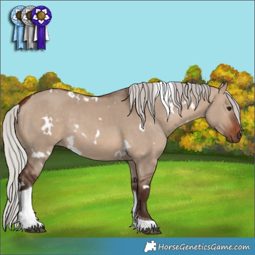 Horse Color:White Spotted Silver Brown Dun Tobiano Rabicano 