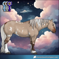 Horse Color:White Spotted Silver Brown Dun Tobiano Rabicano 