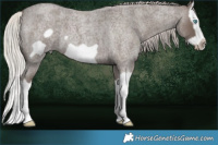 Horse Color:Silver Blue Roan Splash Frame