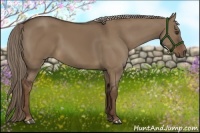 Horse Color:Liver Red Dun 