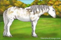 Horse Color:Silver Brown Ice Onyx Mushroom Splash Near Leopard