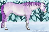 Horse Color:Watercolor Liver Red Dun Ice Onyx Splash