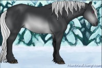 Horse Color:Silver Buckskin Chinchilla Sabino 