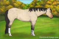 Horse Color:Bay Roan Dun 