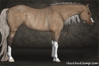 Horse Color:Silver Brown Dun Rabicano 