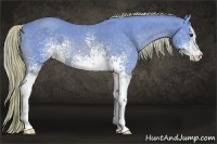 Horse Color:Watercolor White Spotted Chocolate Palomino 
