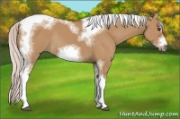 Horse Color:Silver Bay Dun Sabino Tobiano Frame Rabicano