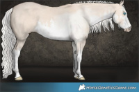 Horse Color:White Spotted Silver Perlino Dun 