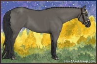Horse Color:Grullo 