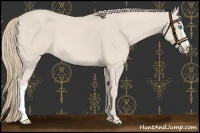 Horse Color:Smoky Creme 