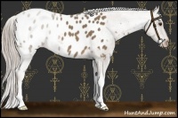 Horse Color:Chocolate Palomino Roan Blanket 