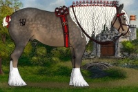 Horse Color:Liver Chestnut Sabino 