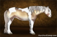 Horse Color:Silver Brown Onyx Sabino Tobiano 
