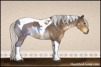 Horse Color:White Spotted Silver Buckskin Tobiano 