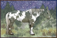 Horse Color:White Spotted Silver Black 