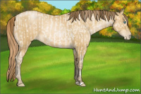 Horse Color:Buckskin Roan Pearl  and Gray Buckskin Roan Pearl 