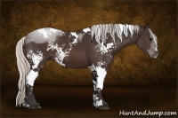 Horse Color:White Spotted Silver Brown Tobiano 