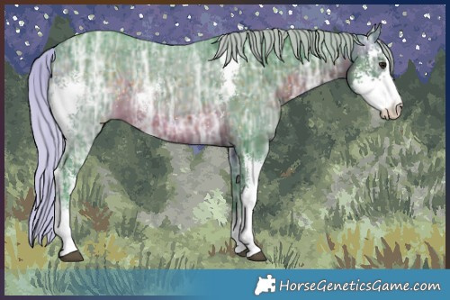 Horse Color:Watercolor Silver Brown Ice Sabino 