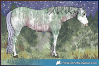 Horse Color:Watercolor Silver Brown Ice Sabino 