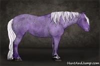 Horse Color:Watercolor Silver Black Chinchilla Ice Sabino Appaloosa