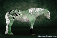 Horse Color:Watercolor White Spotted Silver Brown Chinchilla Ice Sabino Appaloosa