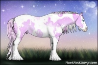 Horse Color:Watercolor White Spotted Liver Red Dun Splash Tobiano 