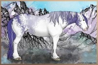 Horse Color:Watercolor White Spotted Black Sabino