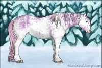 Horse Color:Watercolor White Spotted Silver Black Ice