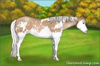 Horse Color:White Spotted Silver Black Pearl Splash