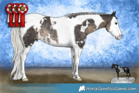 Horse Color:White Spotted Silver Smoky Black Splash Tobiano Rabicano