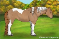 Horse Color:Red Roan Tobiano 