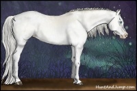 Horse Color:White Spotted Chocolate Palomino Ice Pearl Onyx Splash Tobiano Rabicano