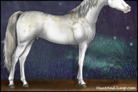 Horse Color:White Spotted Liver Red Onyx Ice Splash Rabicano 